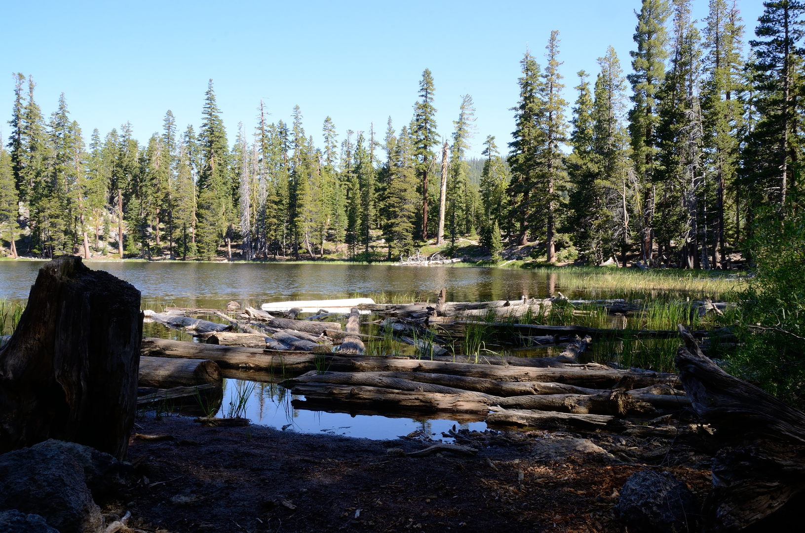 An image depicting the trail Watson Lake via Tahoe Rim Trail and its surrounding area.