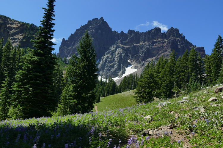 Hunts Creek Trail via Woodpecker Ridge Trail