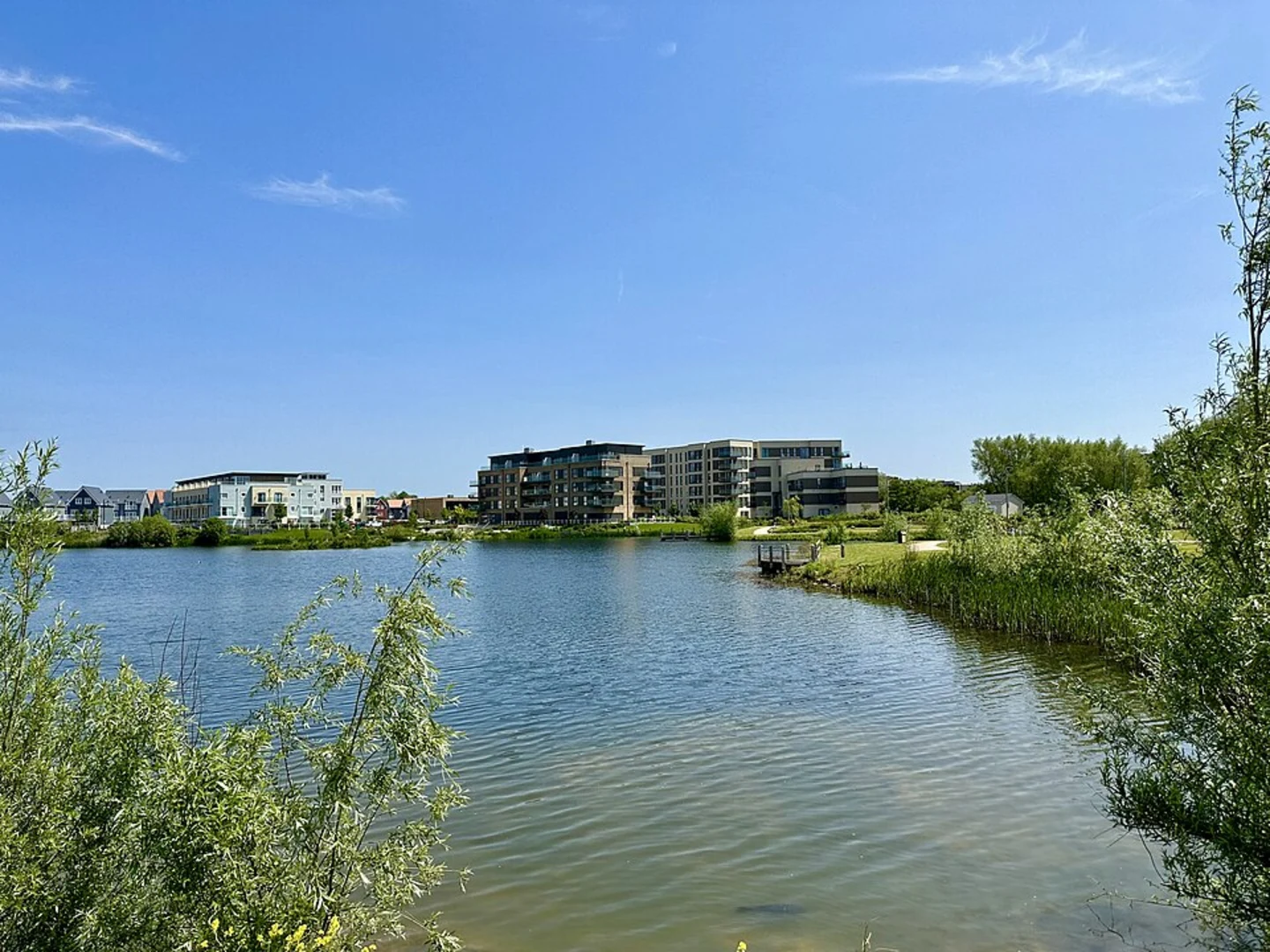 An image depicting the trail Basingstoke to Reading Walk and its surrounding area.