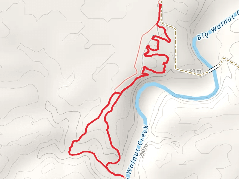 Tall Timbers Loop Trail
