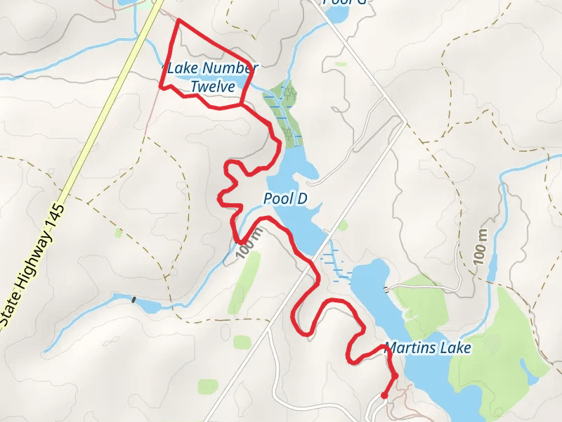 Lake Number 12 Loop via Tates Trail
