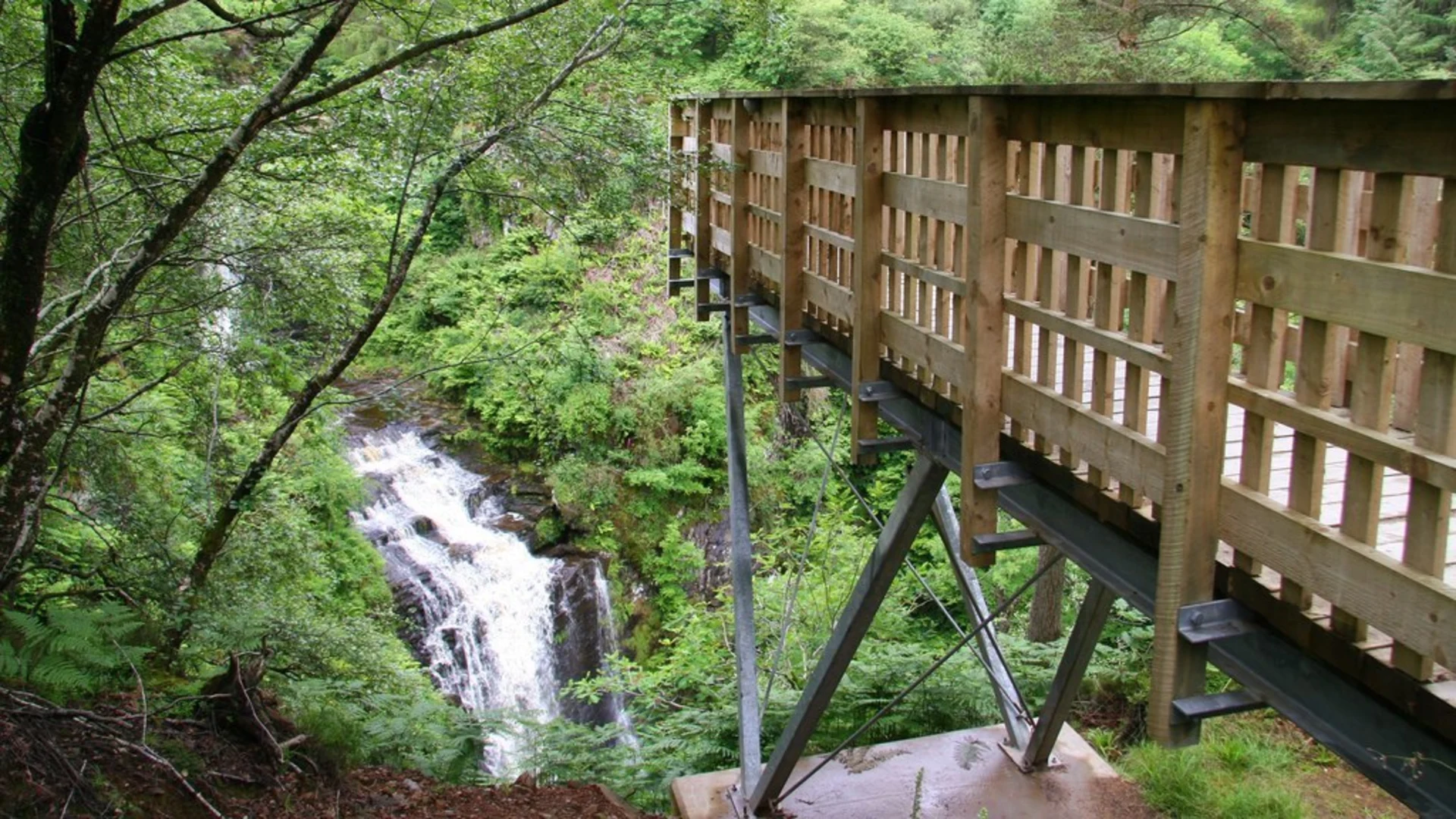 An image depicting the trail Glenashdale Falls Loop Trail and its surrounding area.