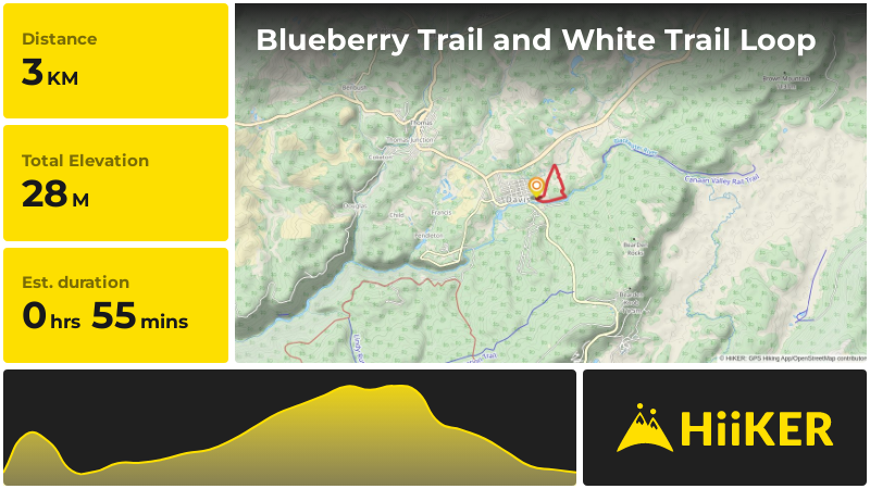 Blueberry Trail and White Trail Loop | Tucker County | West Virginia