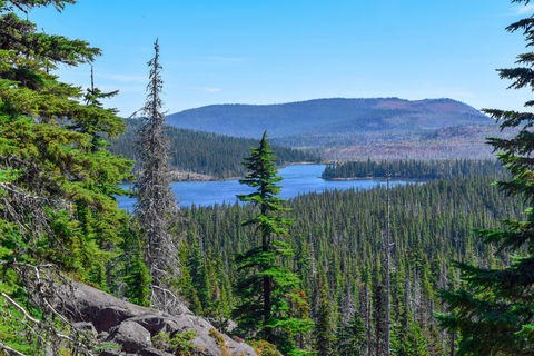 Ruddy Hill via Pacific Crest Trail