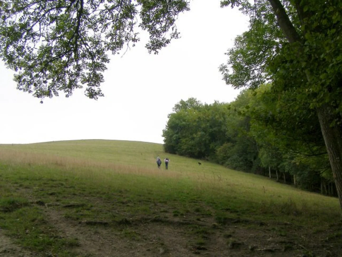 An image depicting the trail Hod Hill Loop and its surrounding area.