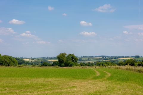 Hulsbosch, Kasteel Strijhagen and Wilhelmjnaberg Loop