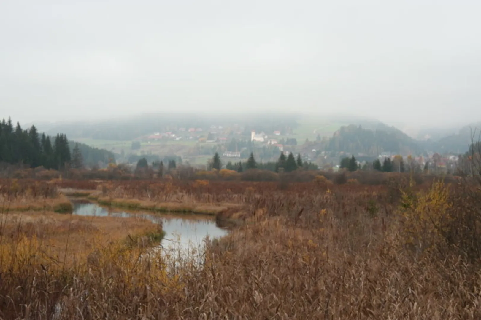 An image depicting the trail Hörfeldmoor Loop Trail and its surrounding area.
