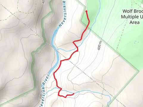 Mullet Brook Trail