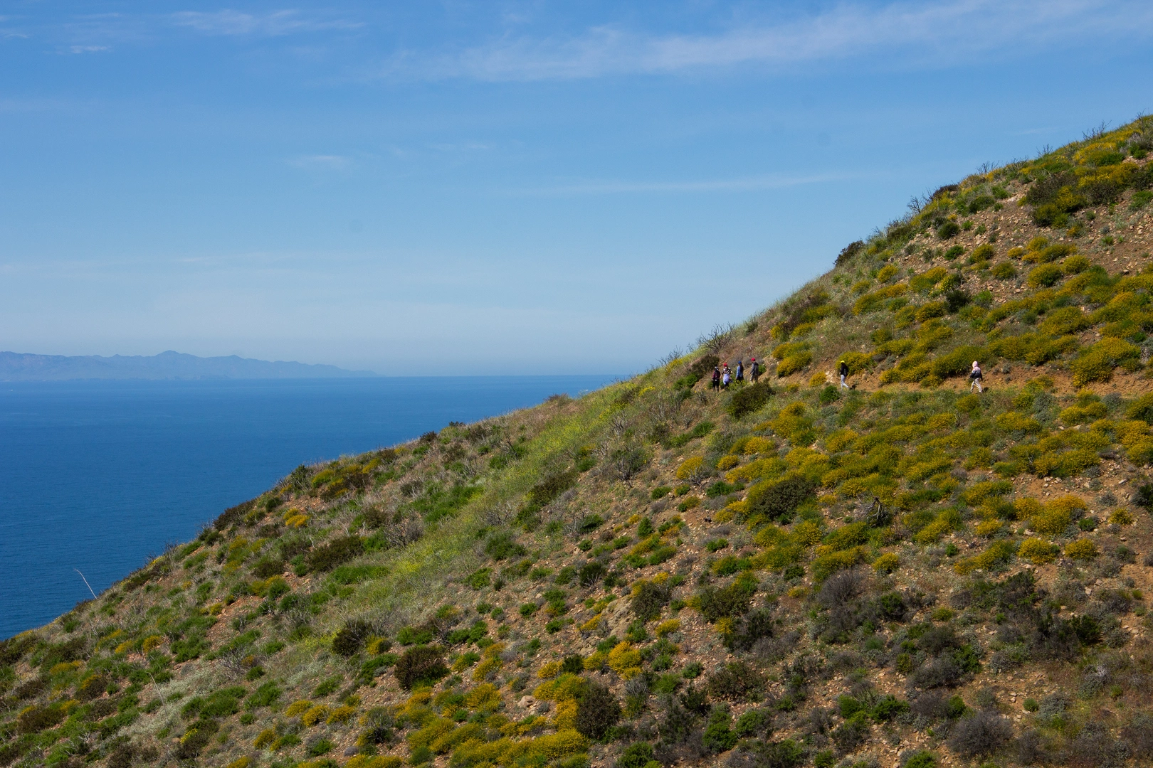 An image depicting the trail La Jolla Valley Loop via Chumash Trail and its surrounding area.