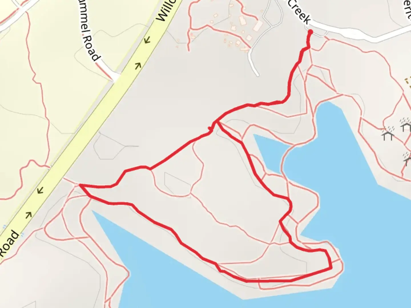 An image depicting the trail Willow Lake North Shore Loop and its surrounding area.