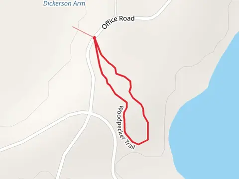 Woodpecker Loop Trail