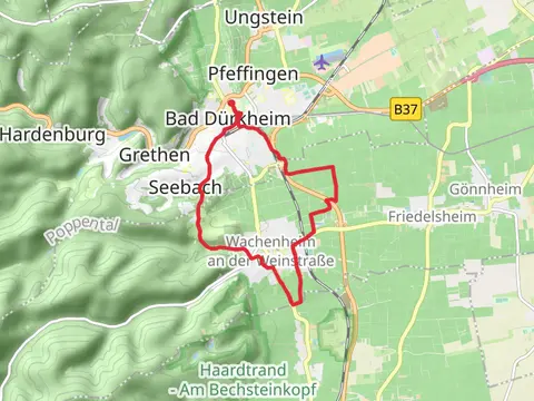 Rückhaltebecken am Osthof via Wachenheim RW 11 and 15