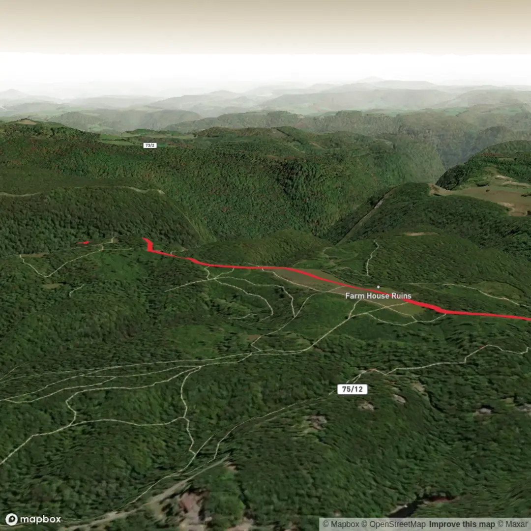 An image depicting the trail Cheat View Hike Trail and its surrounding area.