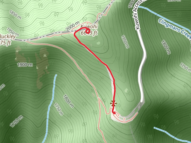Clingmans Dome Trail