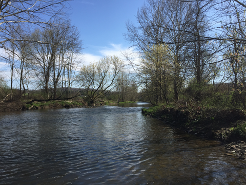 Oil Creek State Park Trail
