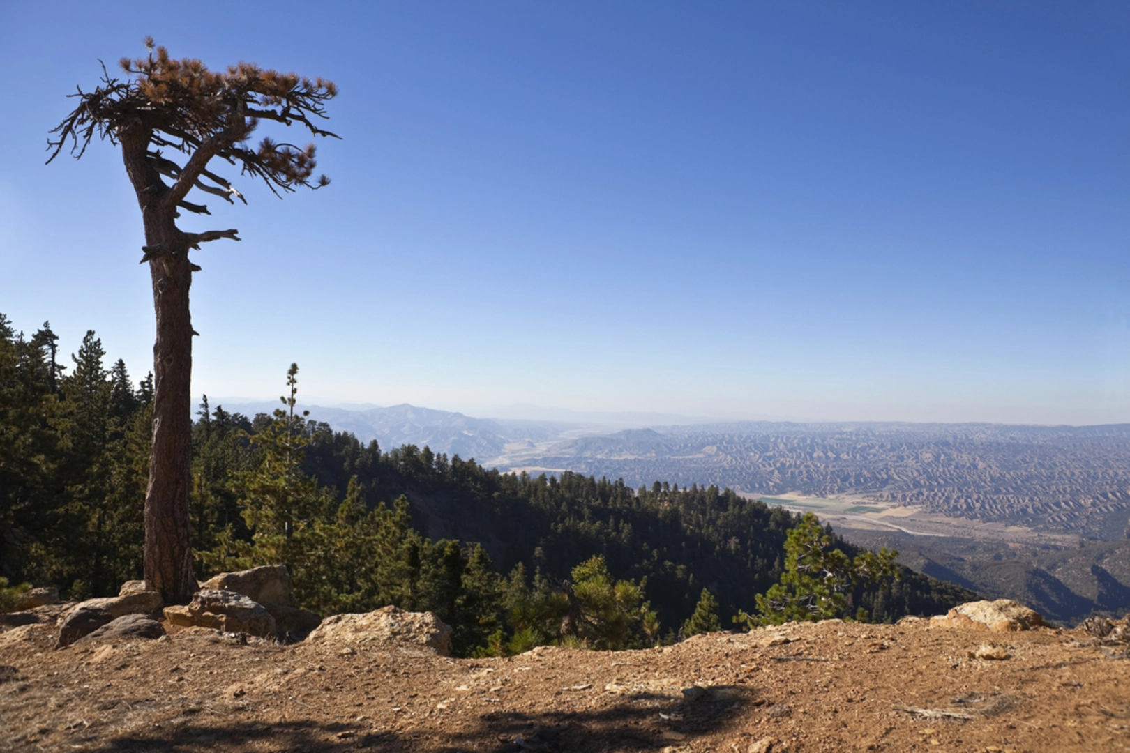An image depicting the trail Reyes Peak and its surrounding area.