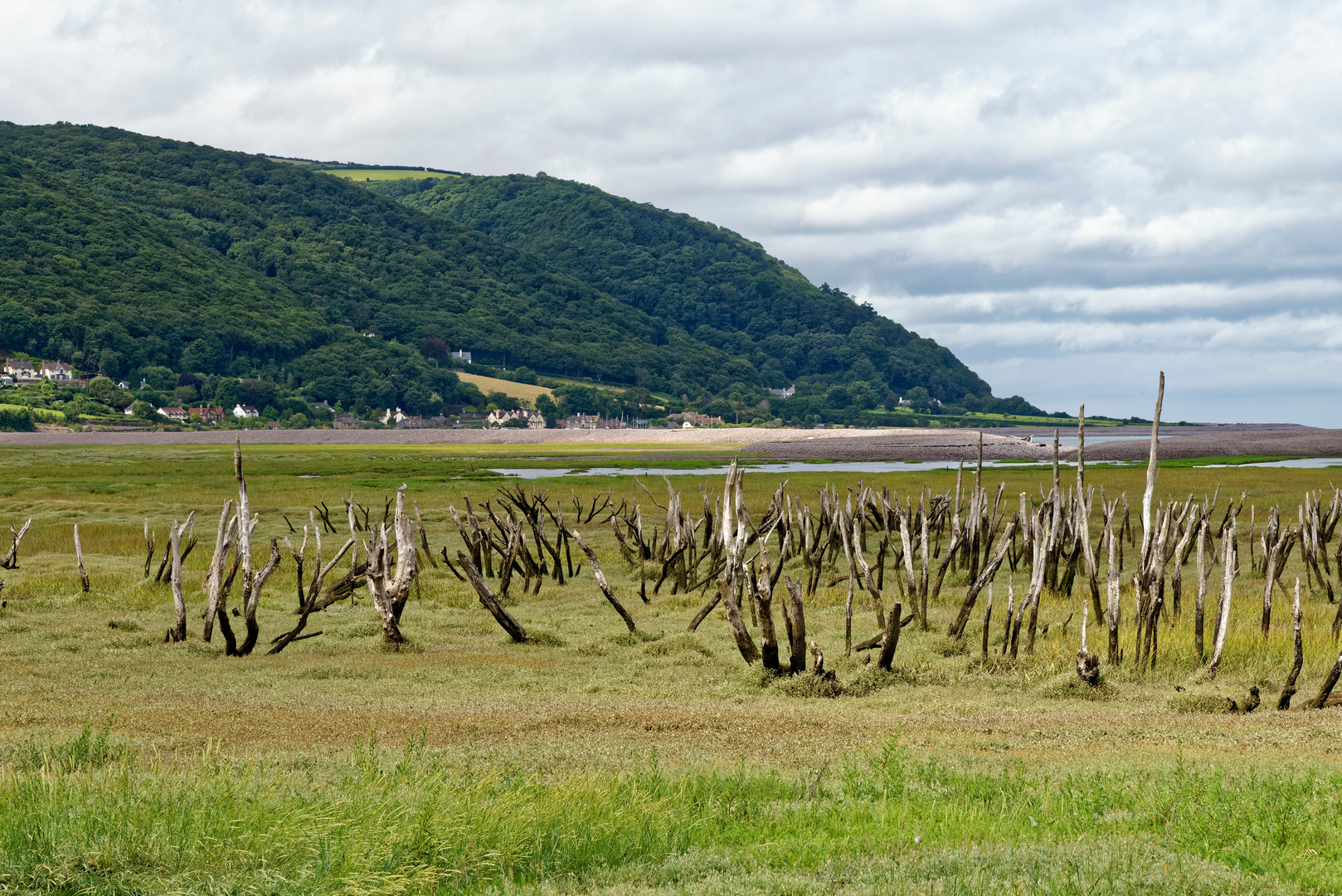 An image depicting the trail Porlock Marshes Walk and its surrounding area.