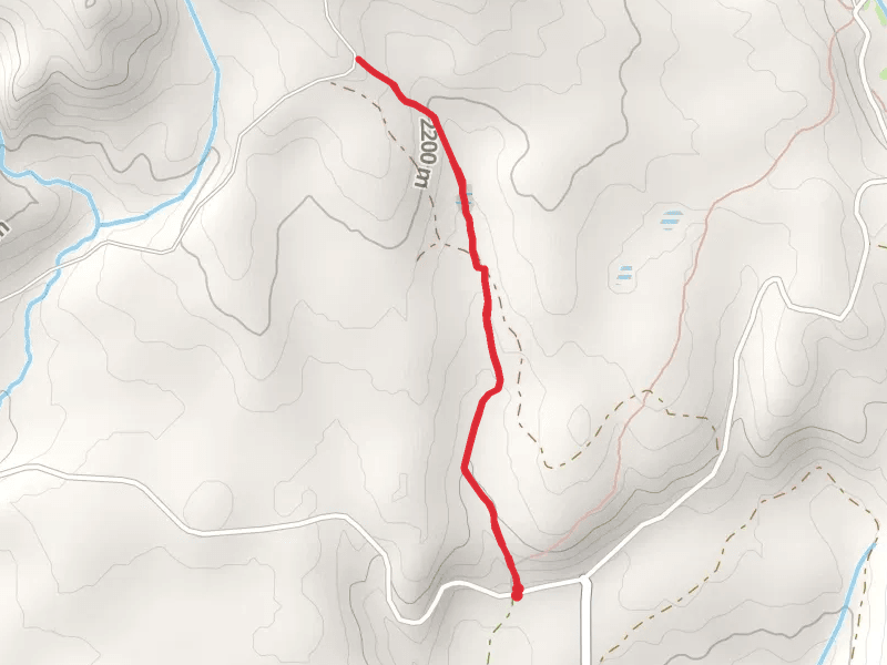 Miller Meadow Trail