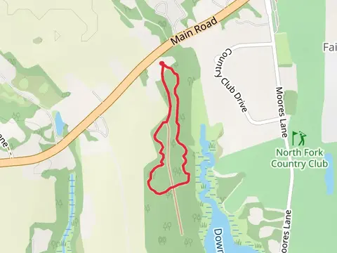 Downs Creek Loop