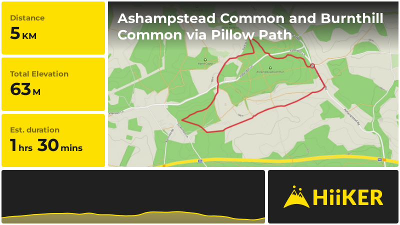 Ashampstead Common and Burnthill Common via Pillow Path | West