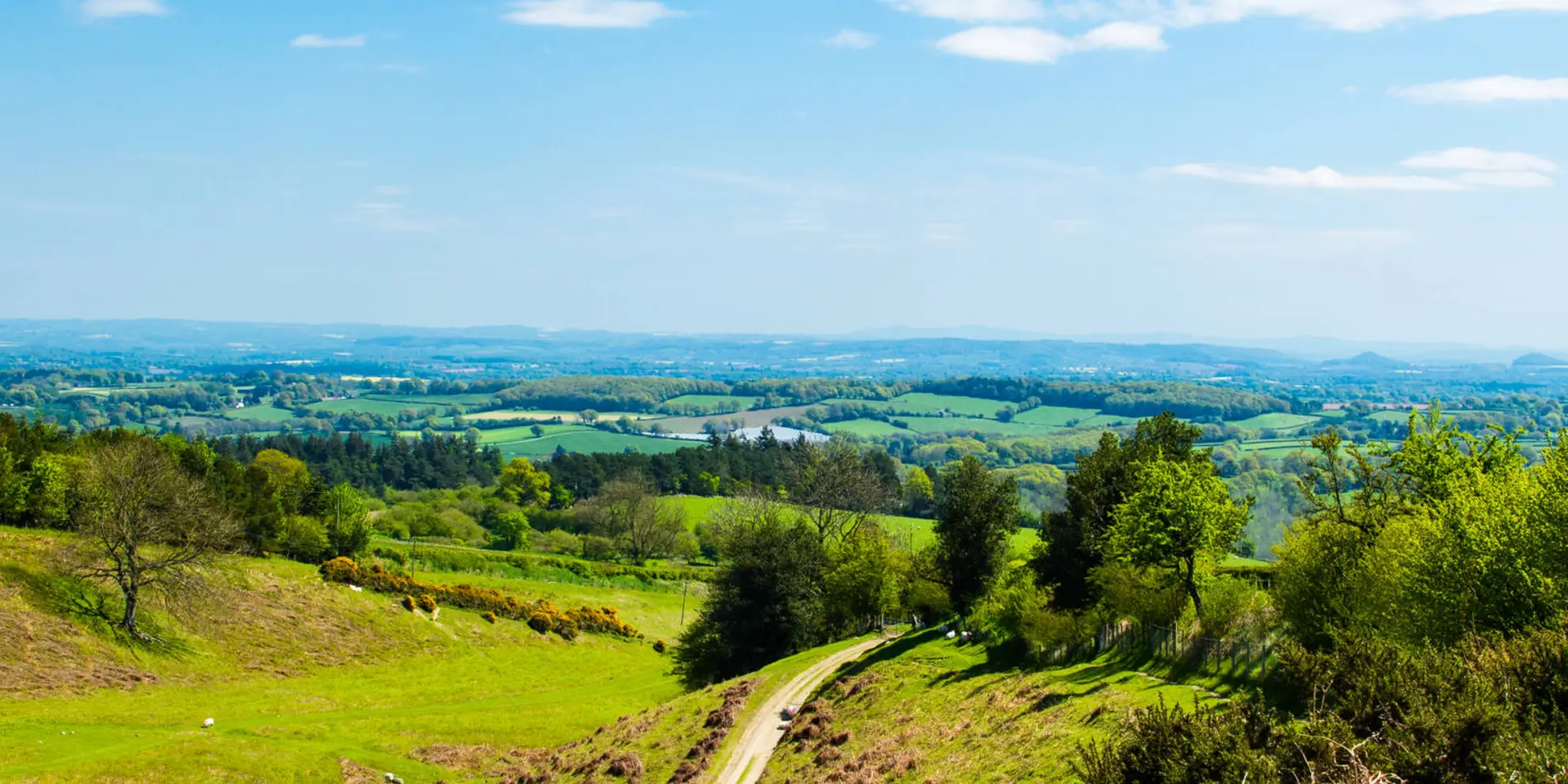 An image depicting the trail Kinsley Wood - Stowe and Offa's Dyke and its surrounding area.