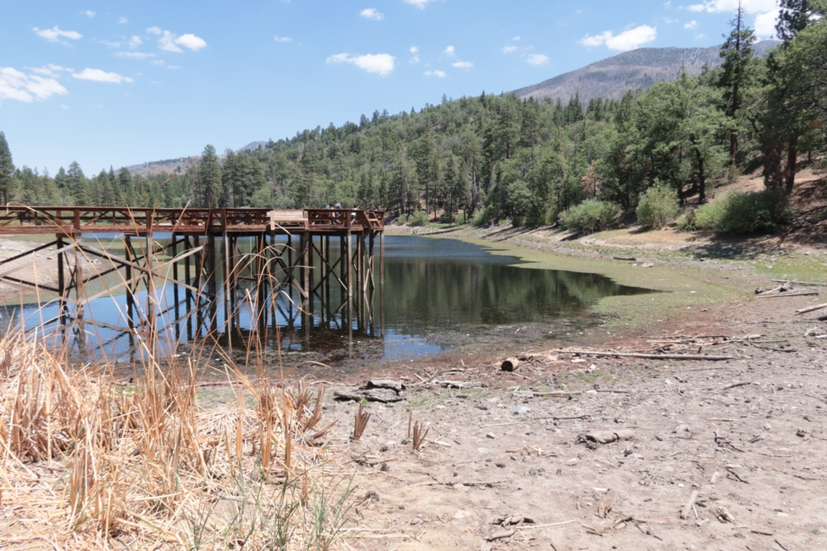 An image depicting the trail Jenks Lake Trail and its surrounding area.