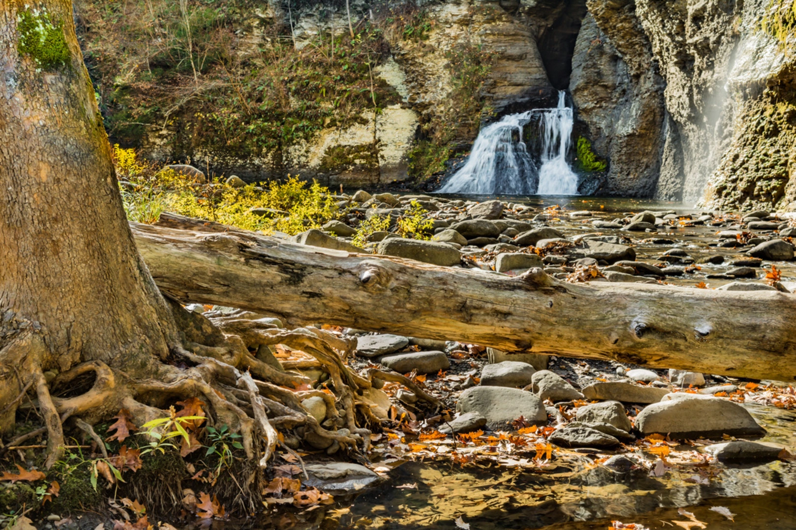 An image depicting the trail Mine Kill Falls and its surrounding area.