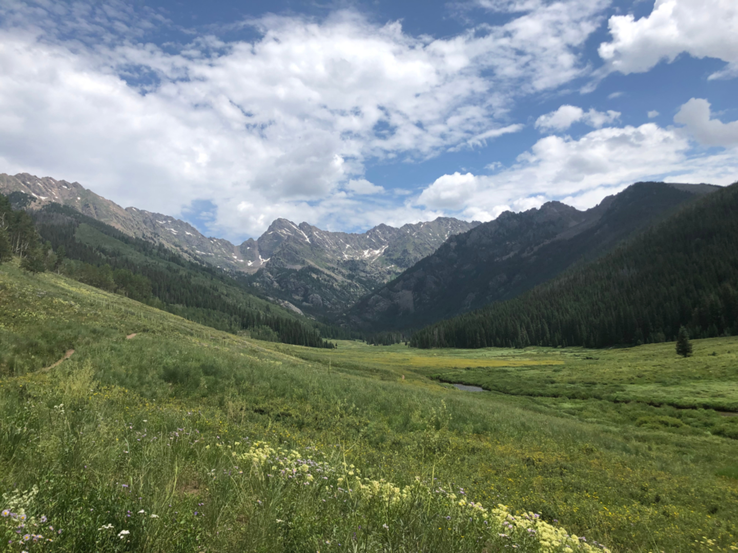 An image depicting the trail East Meadow Creek Trail and its surrounding area.