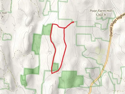 Shutesbury State Forest Loop