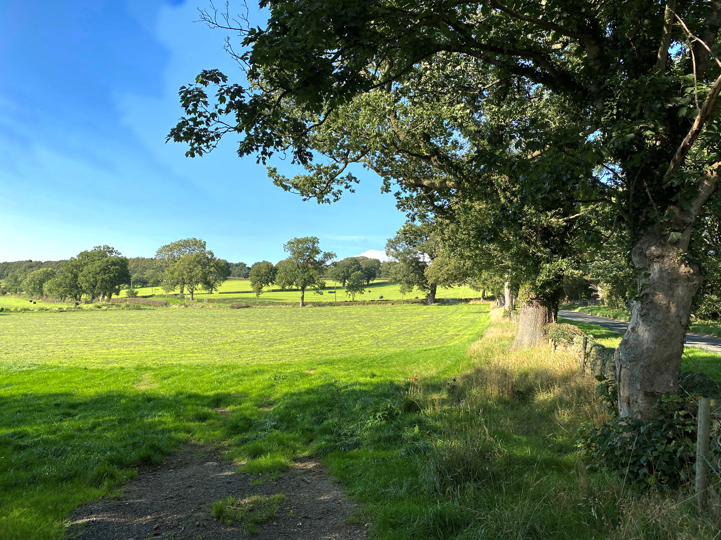 An image depicting the trail Hampsthwaite and Ripley Park and its surrounding area.