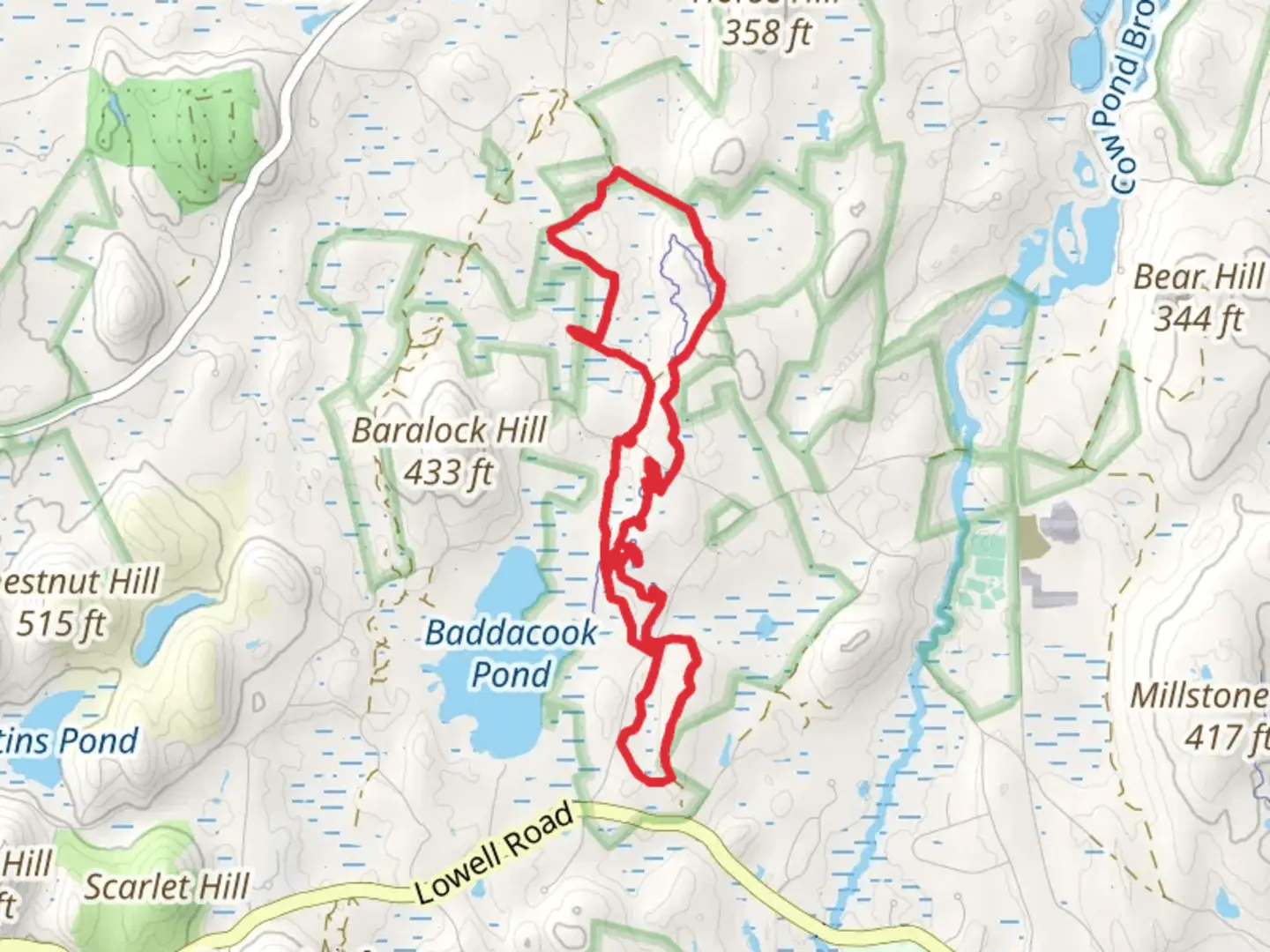 An image depicting the trail Burnt Meadow Swamp Loop and its surrounding area.