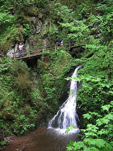 Wutachmühle to Bonndorfer Straße Walk via Genießerpfad 3 Schluchten Tour