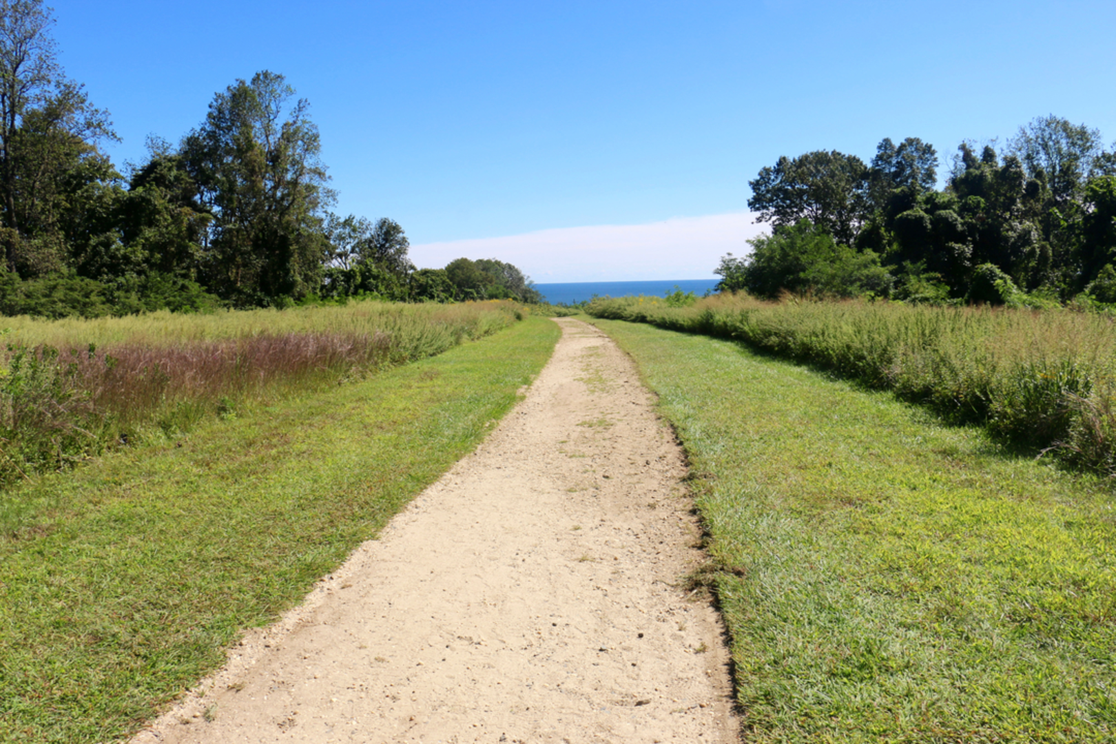 An image depicting the trail Hartshorne Woods Park - Grand Tour and its surrounding area.