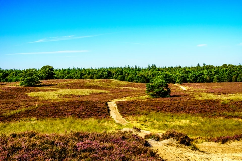 Duivelsberg and Eversbos Loop
