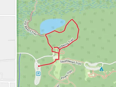 Butterfly Garden Loop