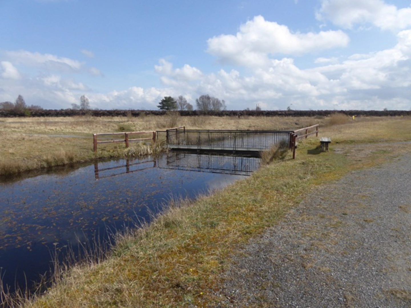 An image depicting the trail Lough Boora - Sculpture Route and its surrounding area.