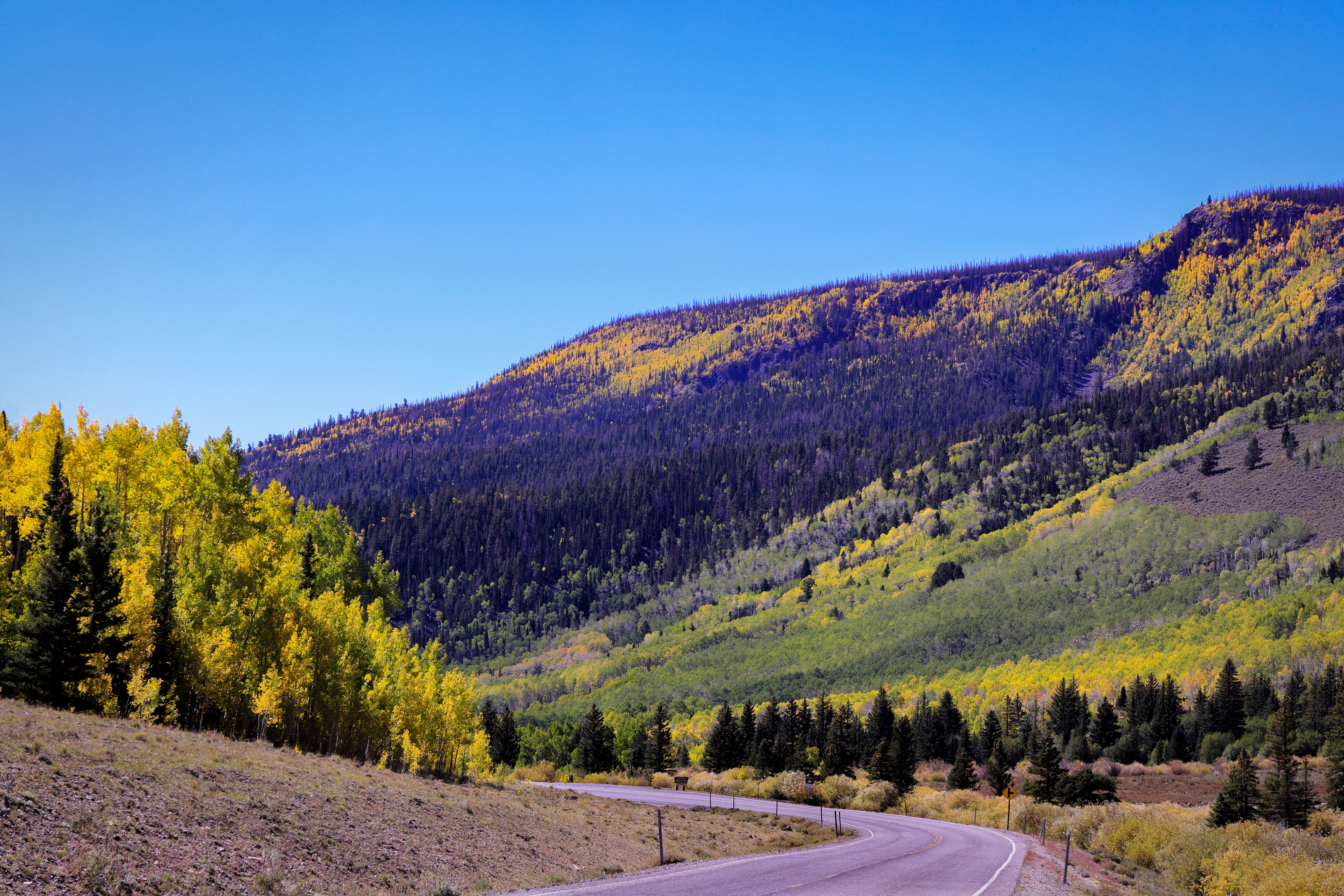 An image depicting the trail Fishlake National Forest and its surrounding area.