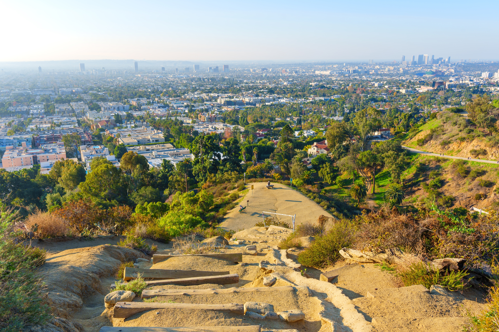 An image depicting the trail East Trail and Paved Fire Road and its surrounding area.