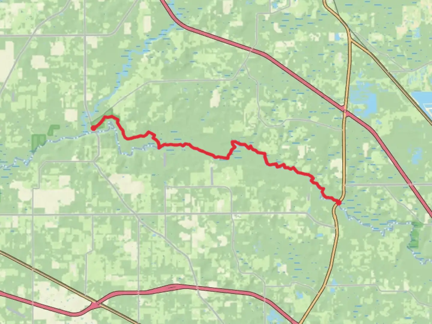 An image depicting the trail Suwannee River Trail and its surrounding area.