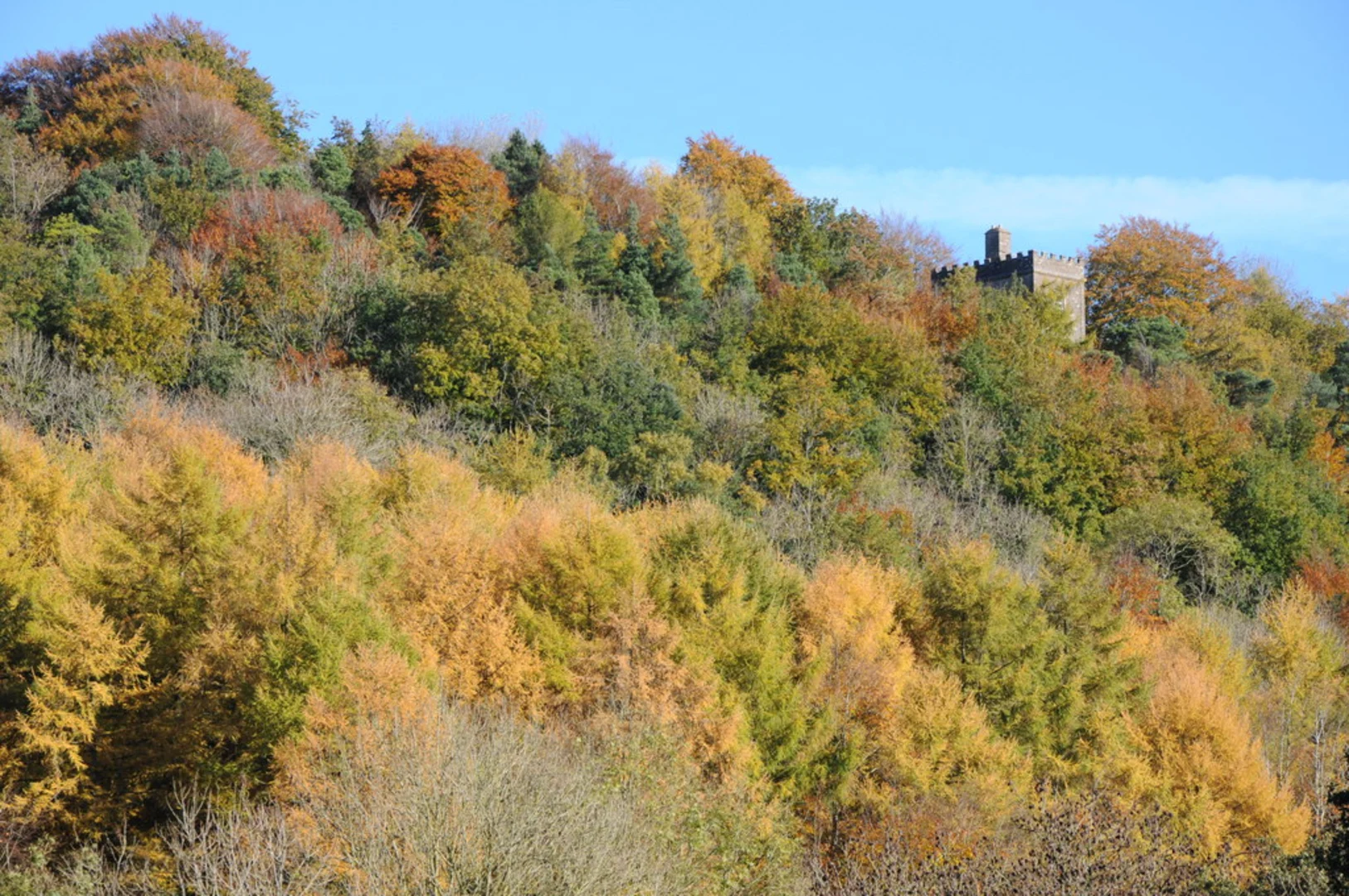 An image depicting the trail Marmontsflat Wood and Northside Wood Loop and its surrounding area.