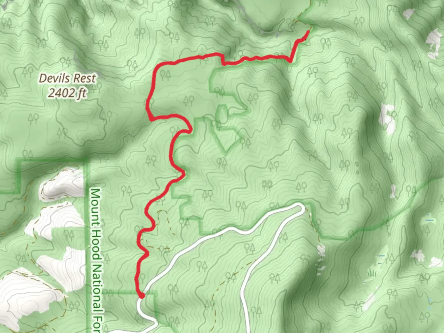 An image depicting the trail Bridal Veil Creek Out and Back and its surrounding area.