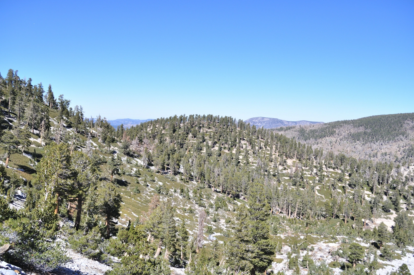 An image depicting the trail Zahniser Peak via Fish Creek Trail and its surrounding area.