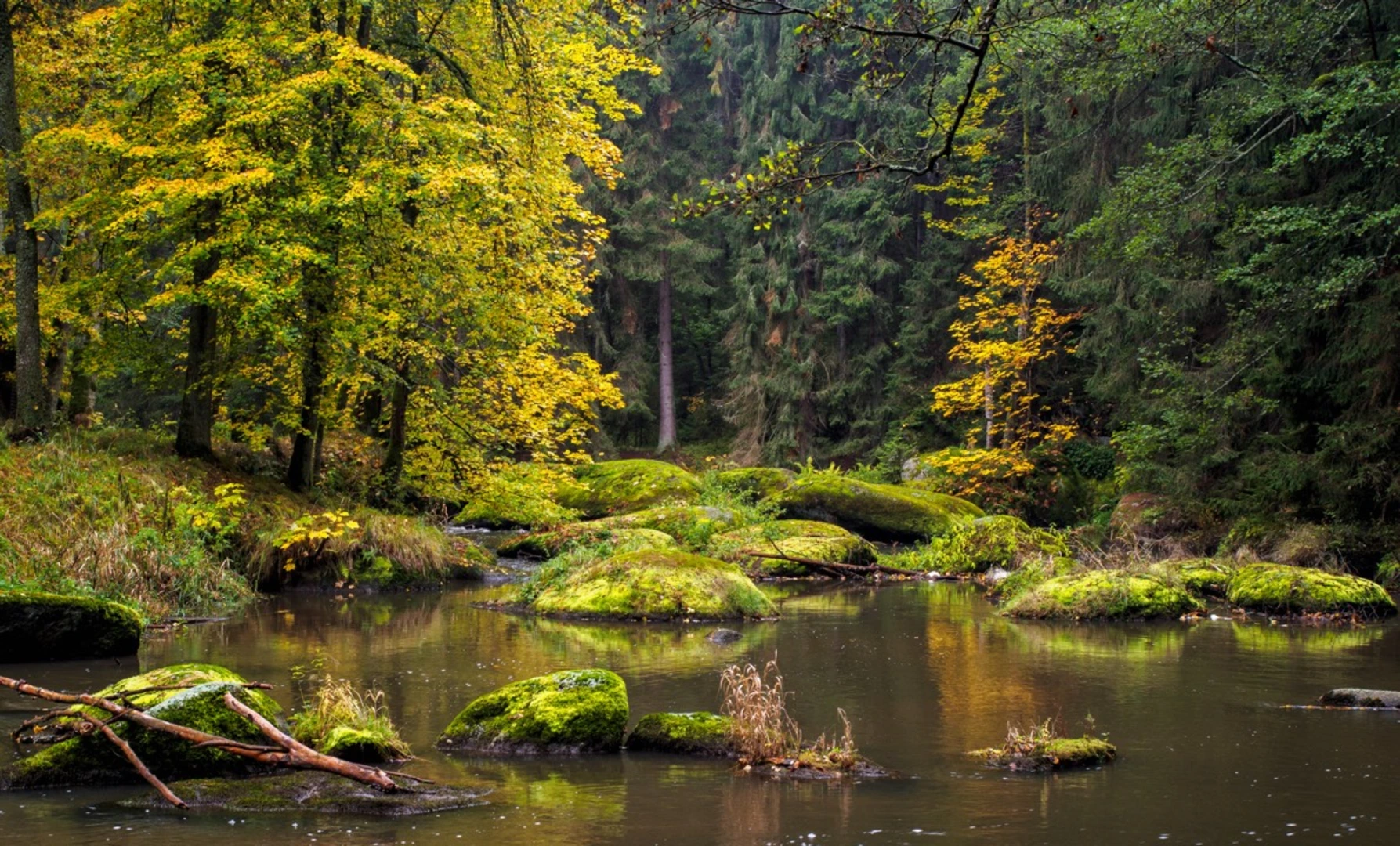 An image depicting the trail Goldsteig and its surrounding area.