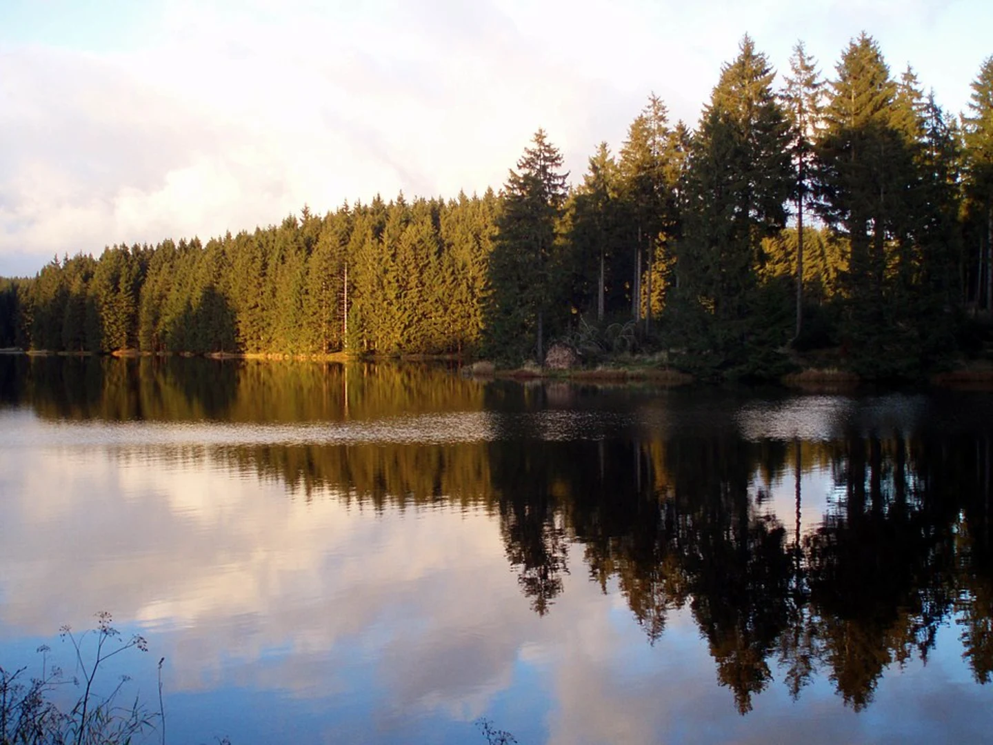 An image depicting the trail Osterode am Harz to Ziegenberger Teich Walk via Hundscher Weg and its surrounding area.