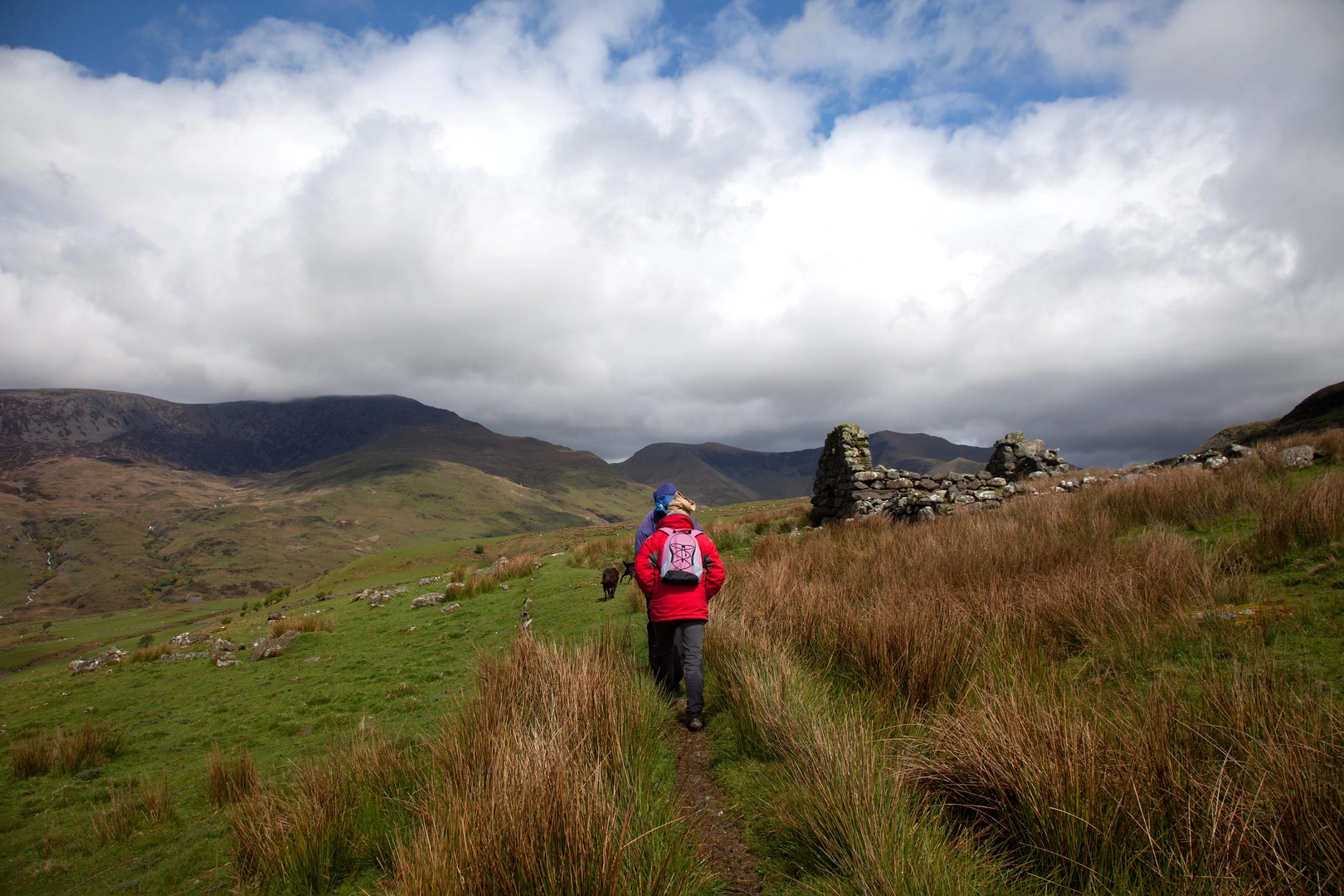 An image depicting the trail Moel Lefn and Moel yr Ogof from Cwm Pennant and its surrounding area.