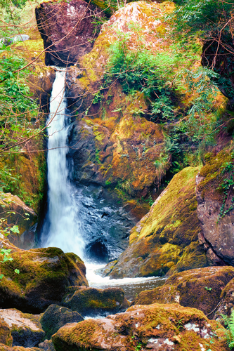 Devil's Glen Forest - Waterfall Walk