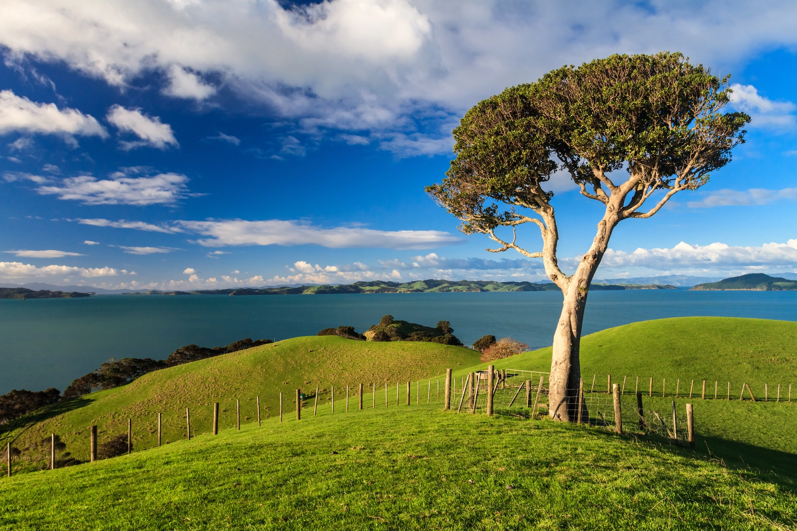 An image depicting the trail Duder Regional Park Loop and its surrounding area.