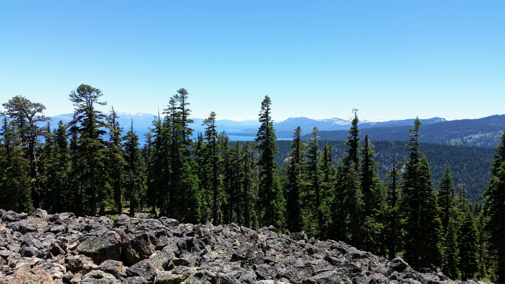 An image depicting the trail Ocelot and Deer Creek Trail and its surrounding area.
