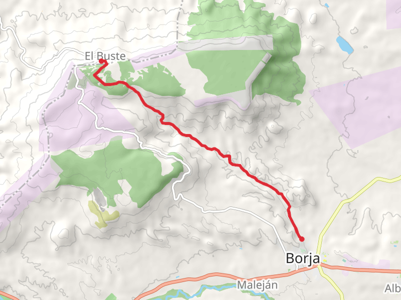 Borja - The Buste PR Z 168