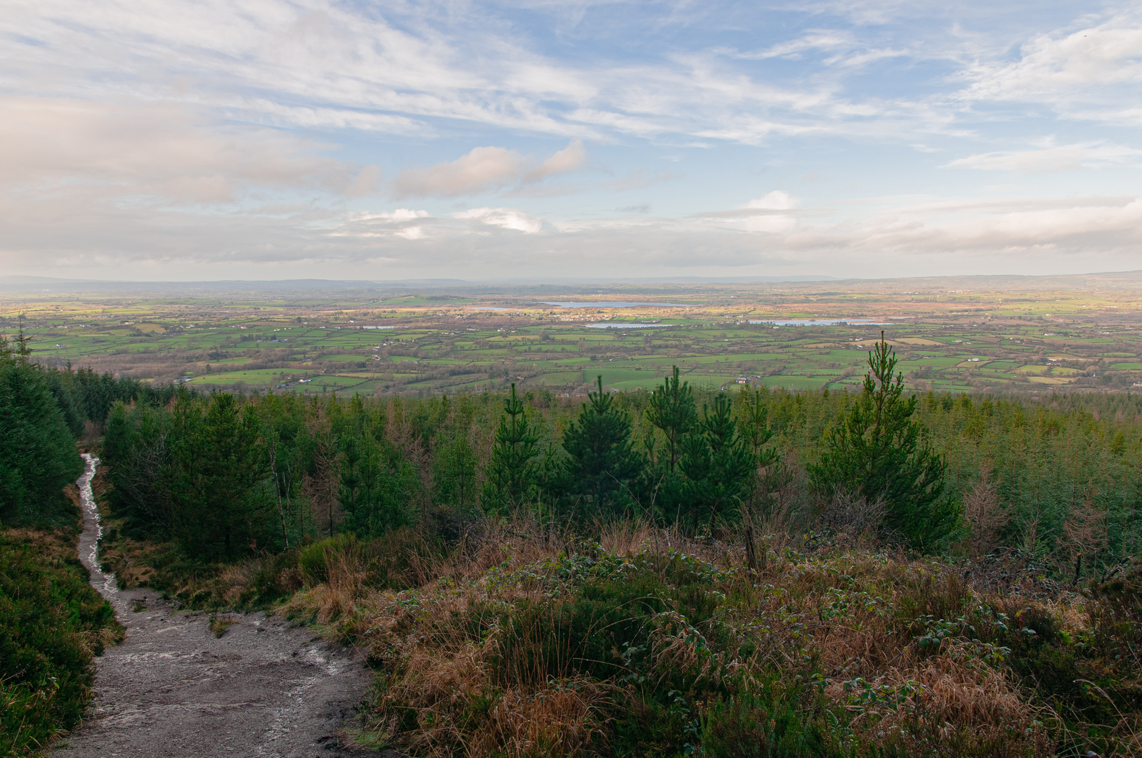 An image depicting the trail 12 O Clock Hills Looped Walks - Red Route and its surrounding area.